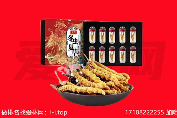 平顶山市石龙回收虫草.jpg